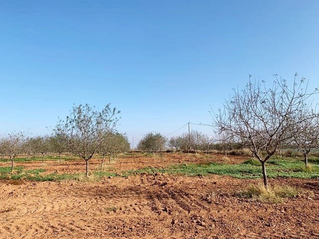 Teren niezagospodarowany na sprzedaż w La Magdalena, Kartagena - 31 000 € (Ref: 6929509)