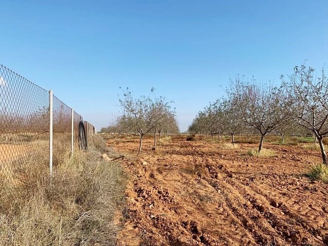 Teren niezagospodarowany na sprzedaż w La Magdalena, Kartagena - 31 000 € (Ref: 6929509)