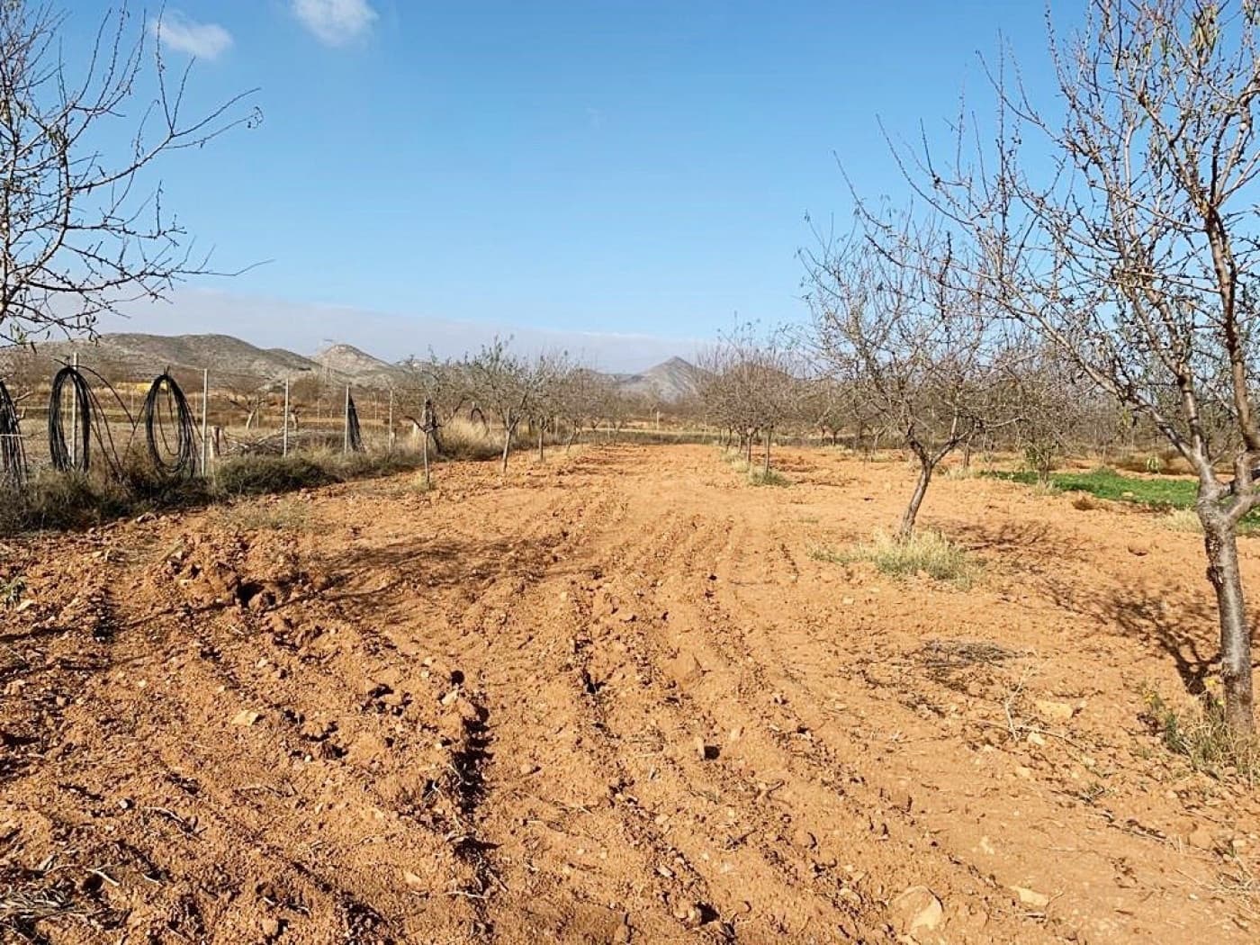 Mark till salu i La Magdalena - 31 000 € (Ref: 6929509)