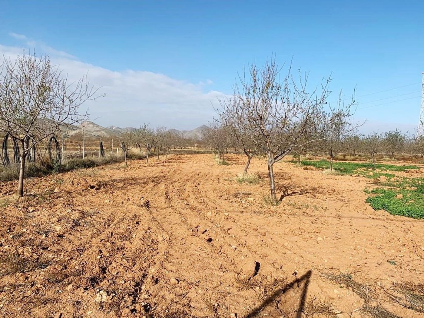 Mark till salu i La Magdalena - 31 000 € (Ref: 6929509)