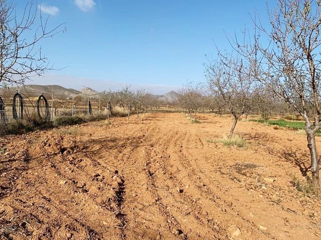 Teren niezagospodarowany na sprzedaż w La Magdalena, Kartagena - 31 000 € (Ref: 6929509)