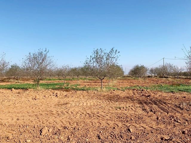 Teren niezagospodarowany na sprzedaż w La Magdalena, Kartagena - 31 000 € (Ref: 6929509)