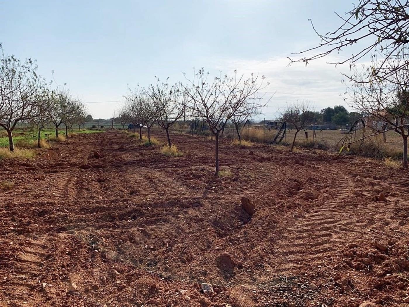 Mark till salu i La Magdalena - 31 000 € (Ref: 6929509)