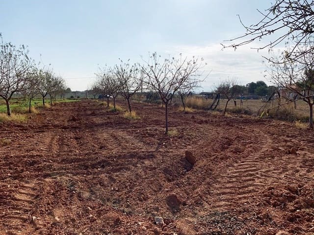 Teren niezagospodarowany na sprzedaż w La Magdalena, Kartagena - 31 000 € (Ref: 6929509)