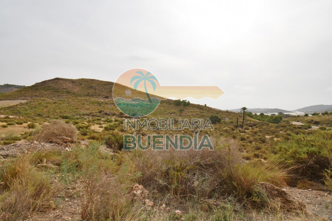 Finca/Maison de Campagne à vendre à Pastrana - 65 000 € (Ref: 7184621)