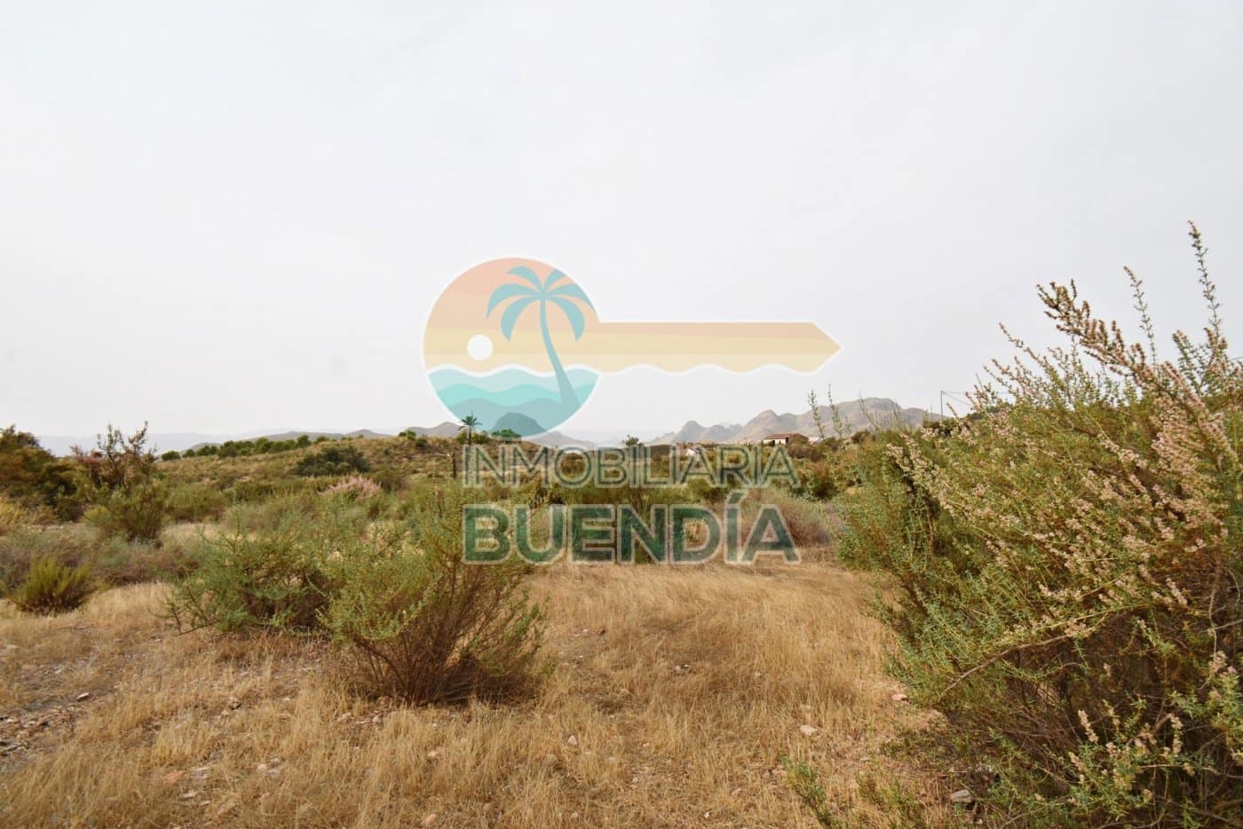 Finca/Casa di Campagna in vendita in Pastrana - 65.000 € (Rif: 7184621)