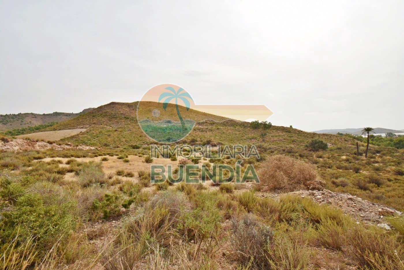 Finca/Casa di Campagna in vendita in Pastrana - 65.000 € (Rif: 7184621)