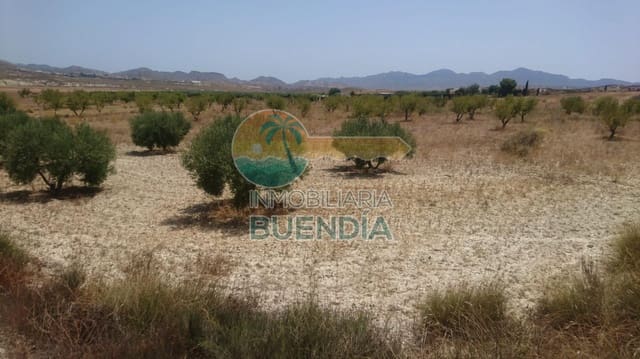 Undeveloped Land for sale in Mazarrón - € 65,000 (Ref: 7546601)