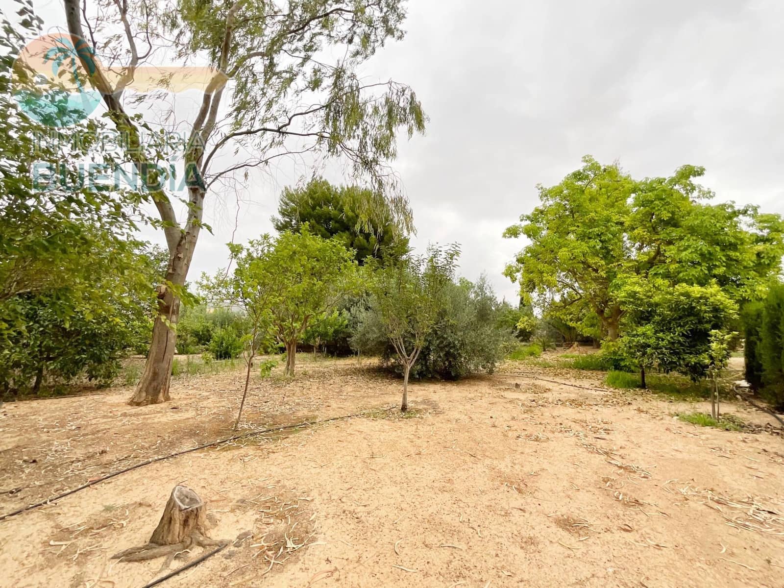 5 sypialnia Finka/Dom wiejski na sprzedaż w Perin z basenem - 415 000 € (Ref: 7686575)