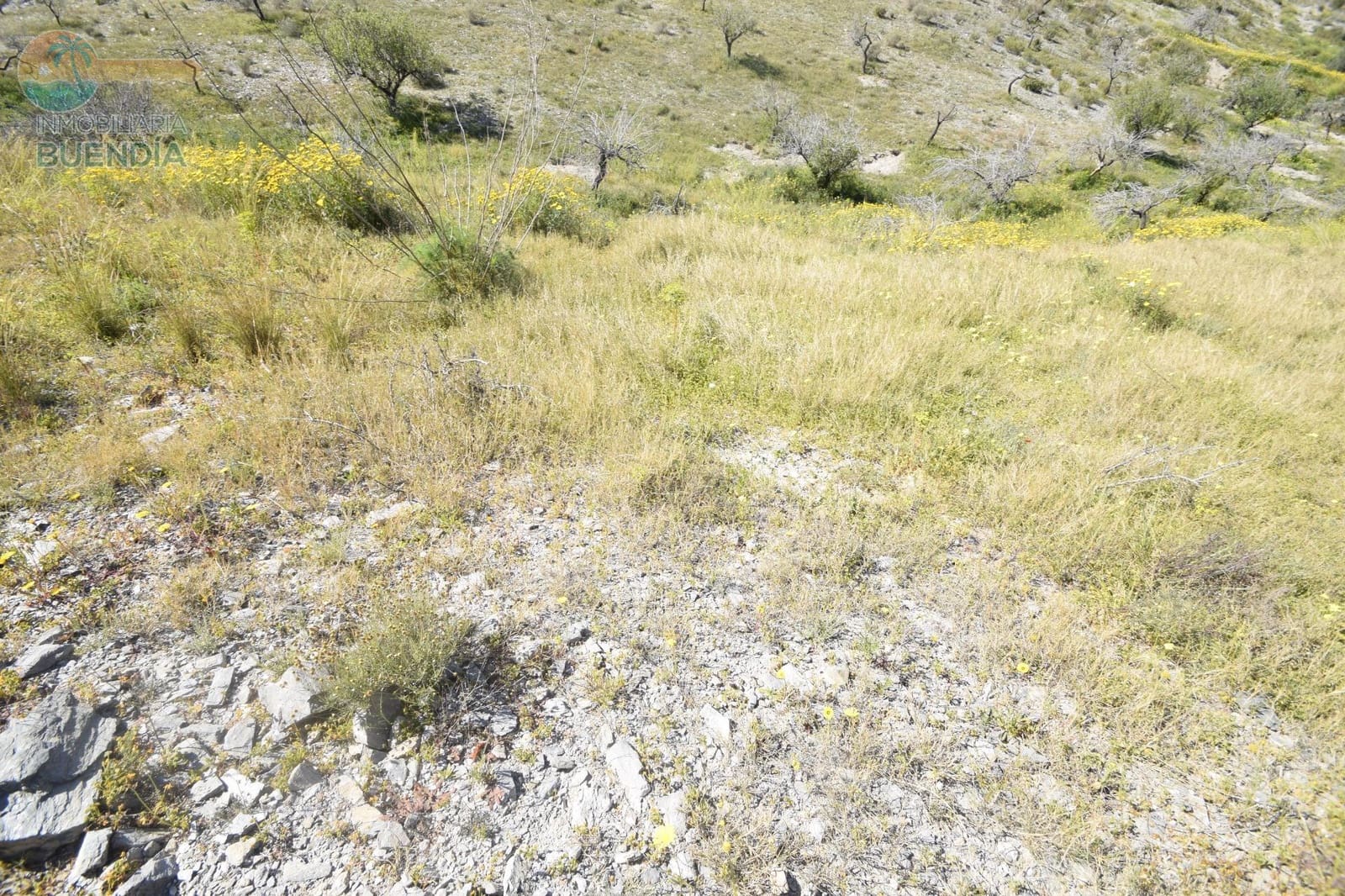 Undeveloped Land for sale in Mazarron - € 49,990 (Ref: 7759568)