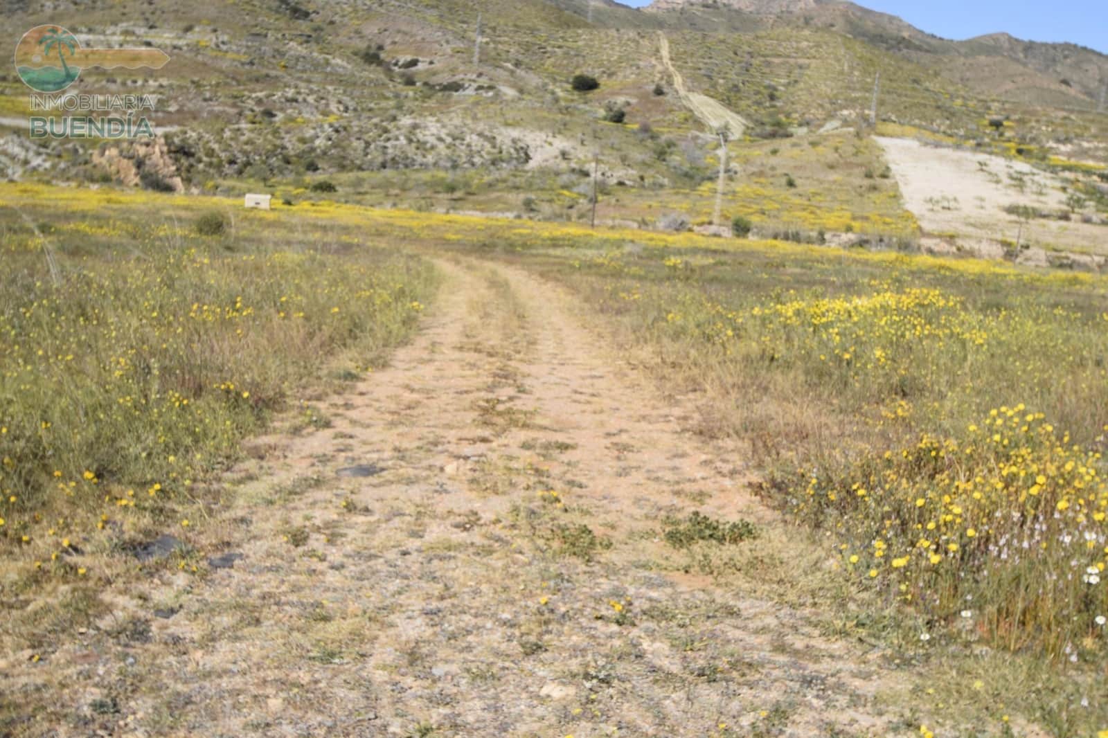 Undeveloped Land for sale in Mazarron - € 49,990 (Ref: 7759568)