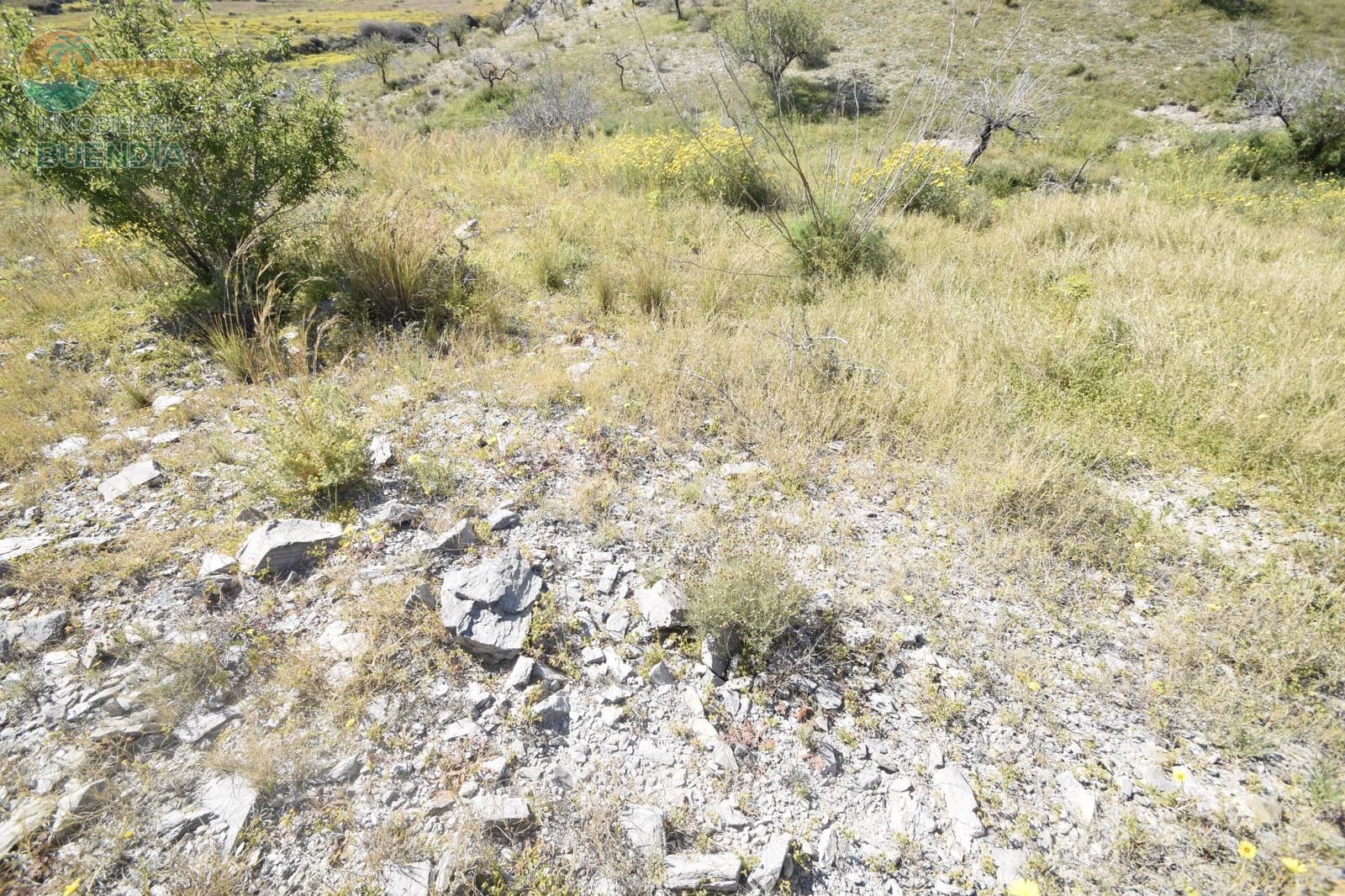 Undeveloped Land for sale in Mazarron - € 49,990 (Ref: 7759568)