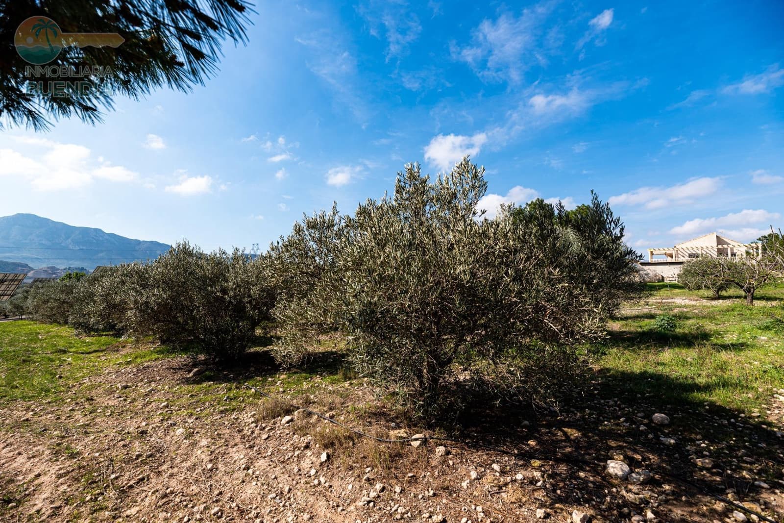 4 sypialnia Finka/Dom wiejski na sprzedaż w Leiva z garażem - 399 000 € (Ref: 7759600)