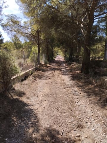 Undeveloped Land for sale in Totana - € 130,000 (Ref: 7838641)