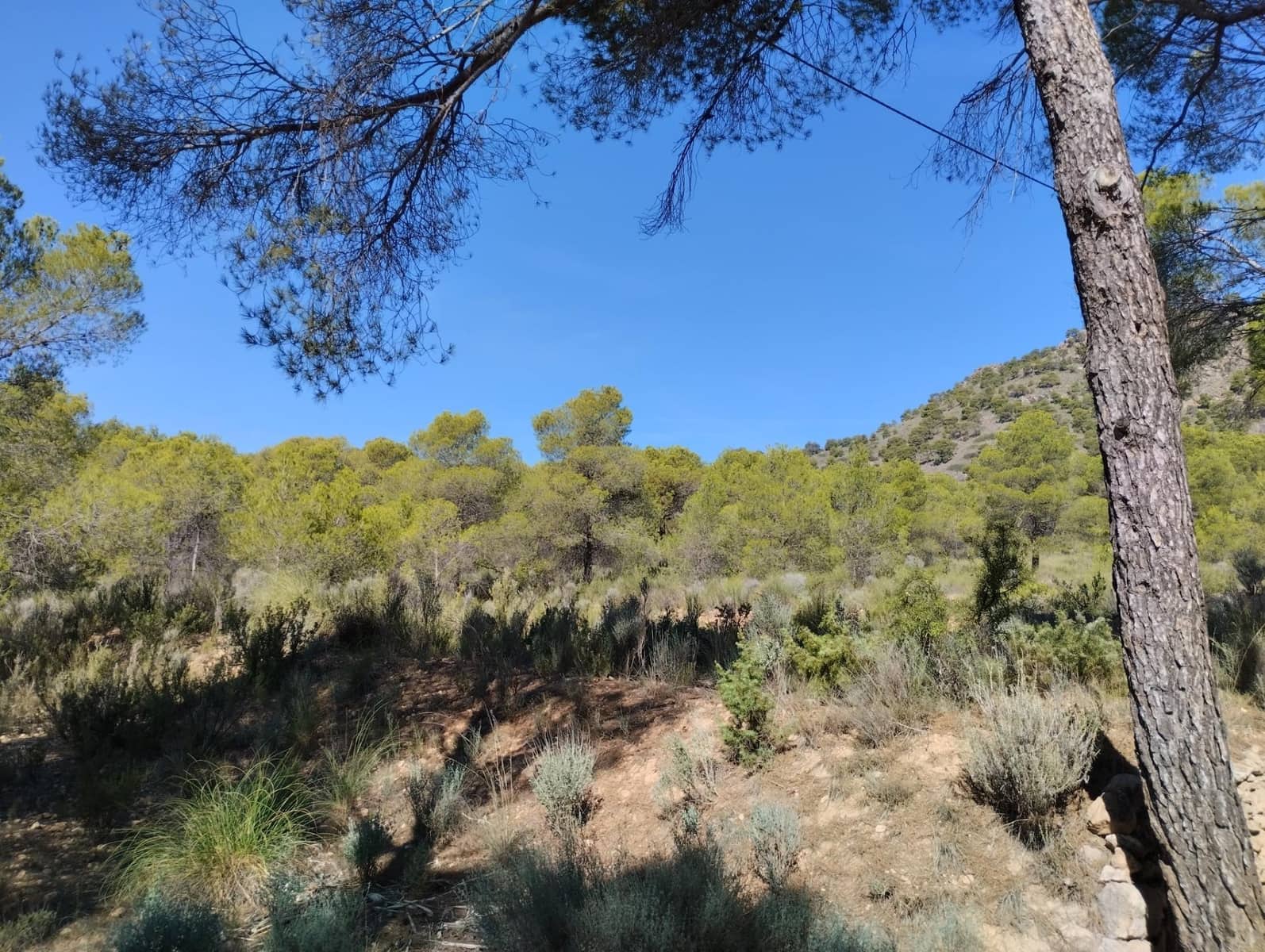 Grond te koop in Totana - € 130.000 (Ref: 7838641)