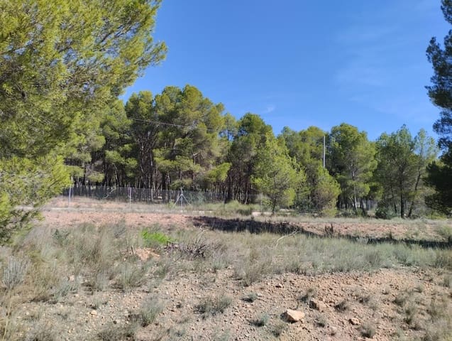 Undeveloped Land for sale in Totana - € 130,000 (Ref: 7838641)
