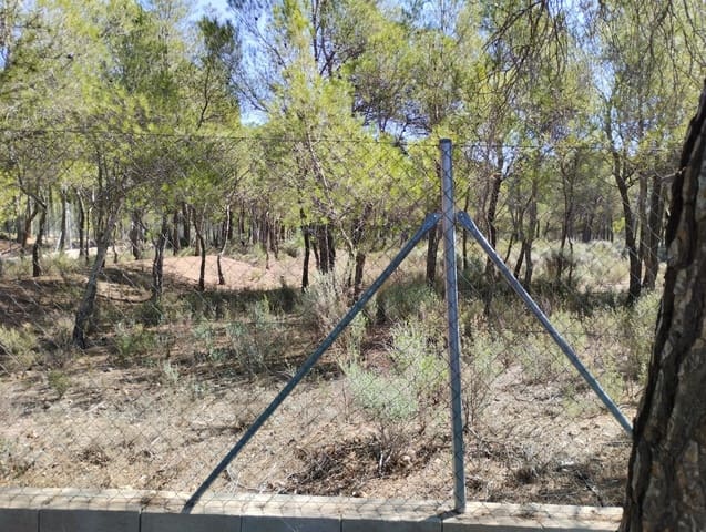 Undeveloped Land for sale in Totana - € 130,000 (Ref: 7838641)