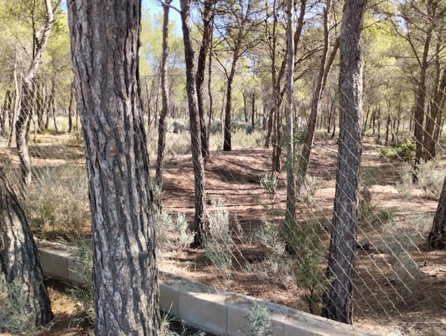 Undeveloped Land for sale in Totana - € 130,000 (Ref: 7838641)