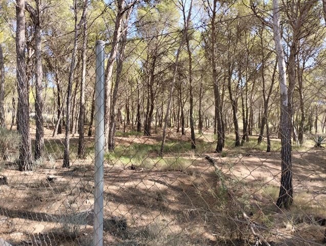 Undeveloped Land for sale in Totana - € 130,000 (Ref: 7838641)