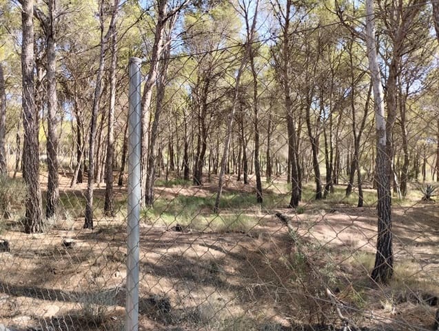 Undeveloped Land for sale in Totana - € 130,000 (Ref: 7838641)