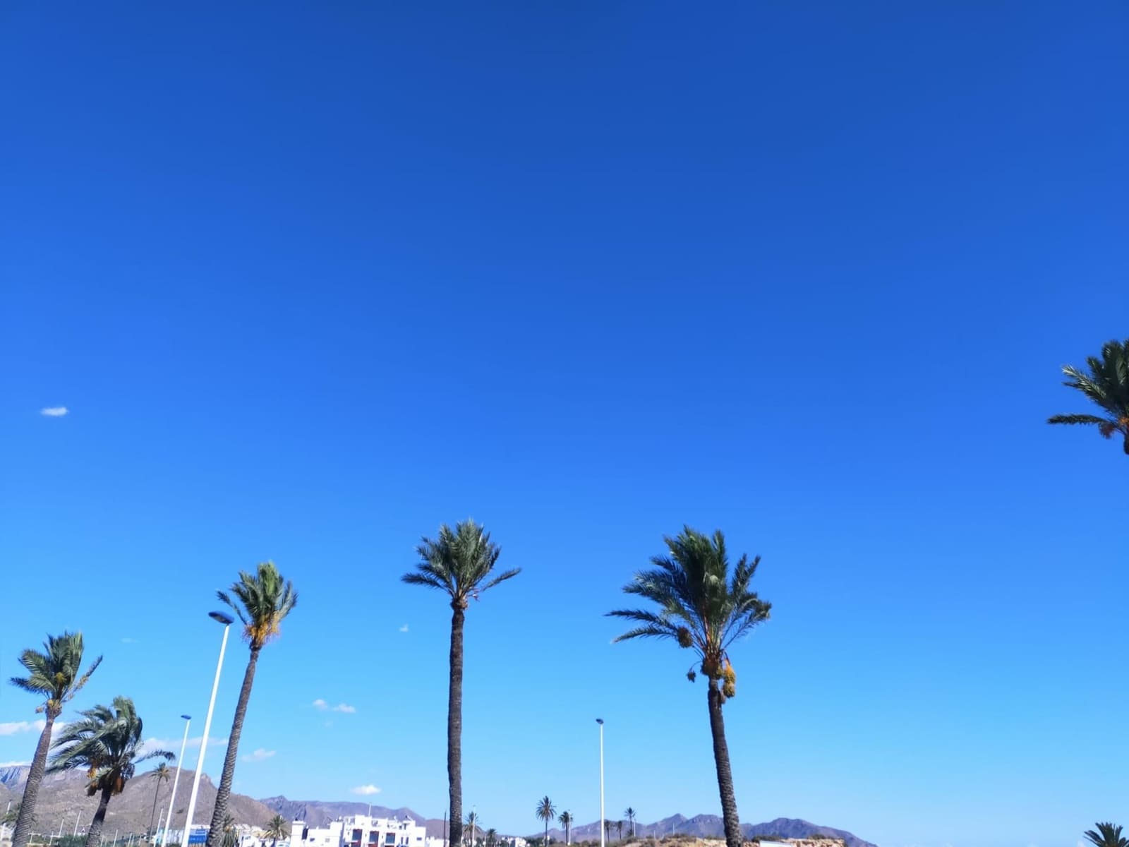 2 Zimmer Apartment zu vermieten in Alamillo - 1.300 € (Ref: 7994421)