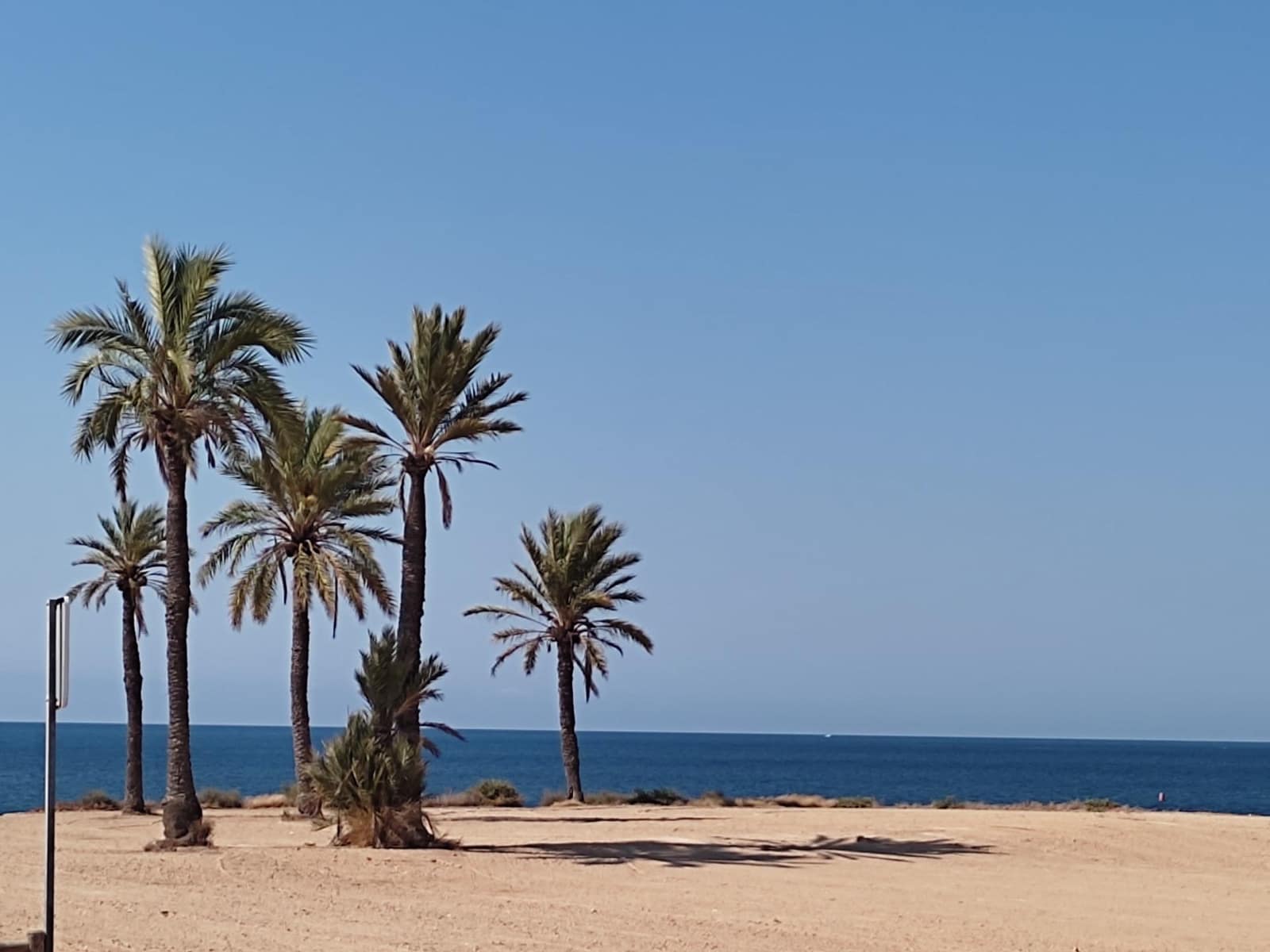 2 Zimmer Apartment zu vermieten in Alamillo - 1.300 € (Ref: 7994421)