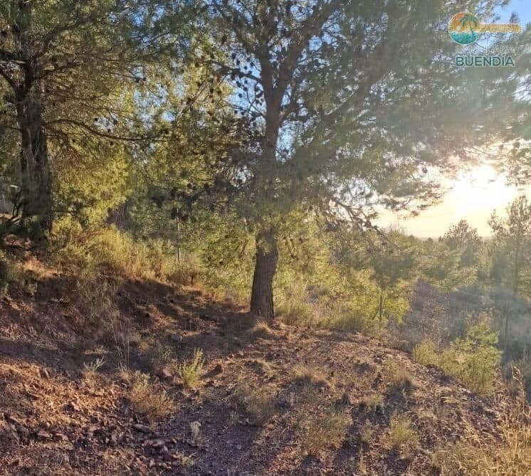 1 soveværelse Finca/Landehus til salg i Totana - € 55.000 (Ref: 8048515)