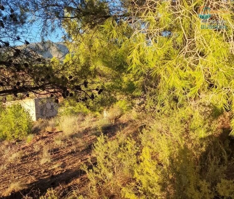 1 soveværelse Finca/Landehus til salg i Totana - € 55.000 (Ref: 8048515)