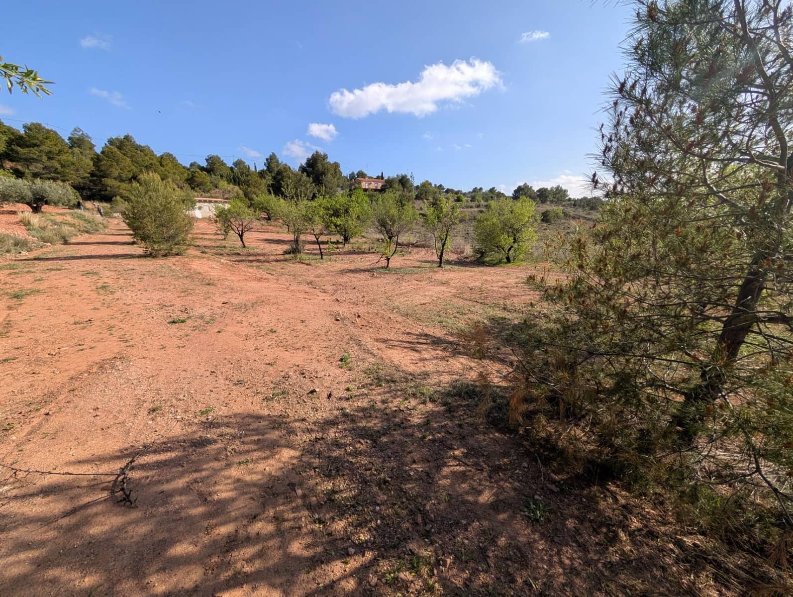 1 soveværelse Finca/Landehus til salg i Totana - € 55.000 (Ref: 8048515)