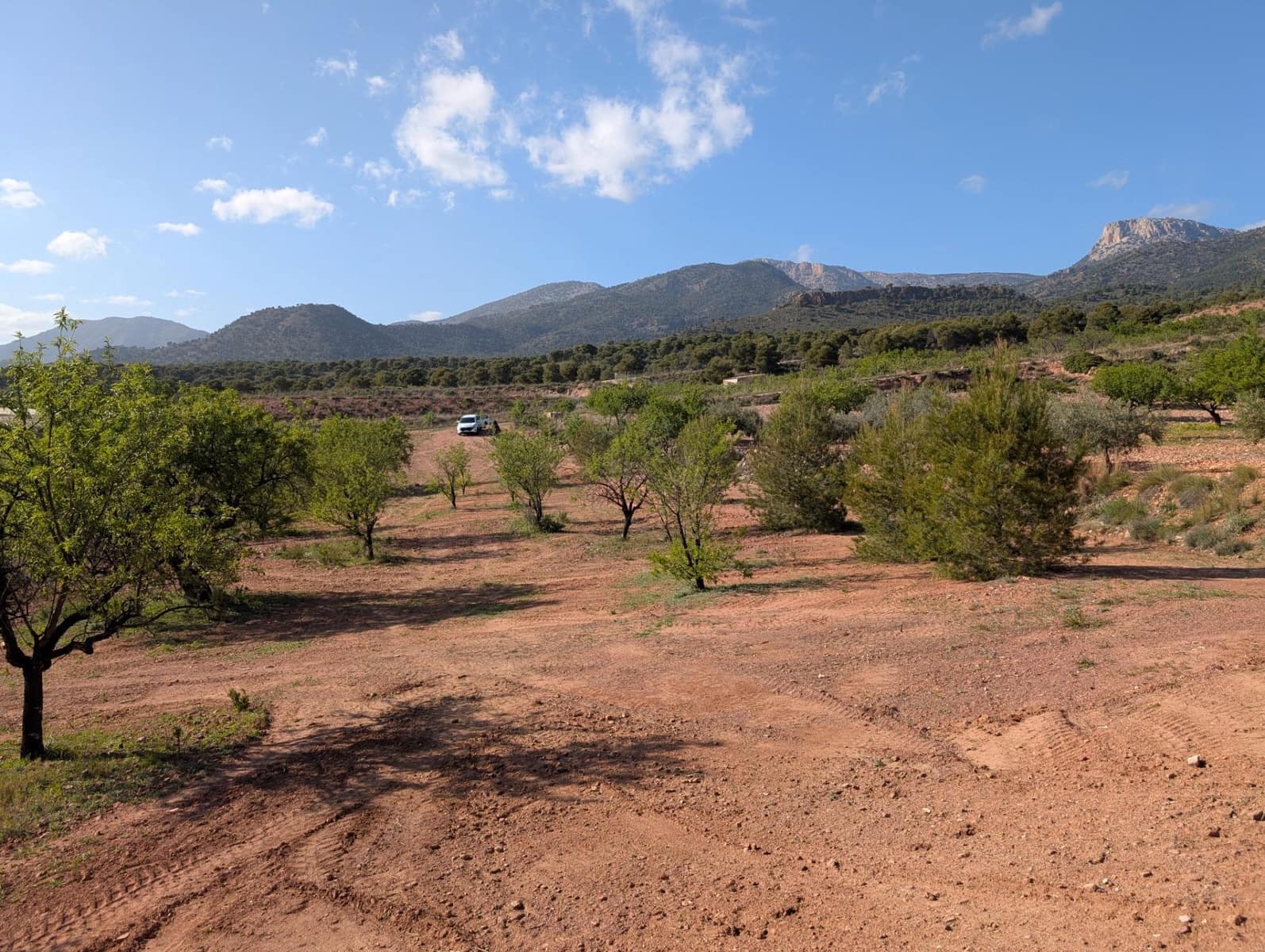 1 soveværelse Finca/Landehus til salg i Totana - € 55.000 (Ref: 8048515)