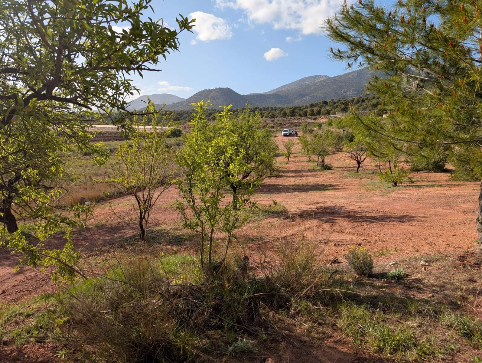 1 soveværelse Finca/Landehus til salg i Totana - € 55.000 (Ref: 8048515)