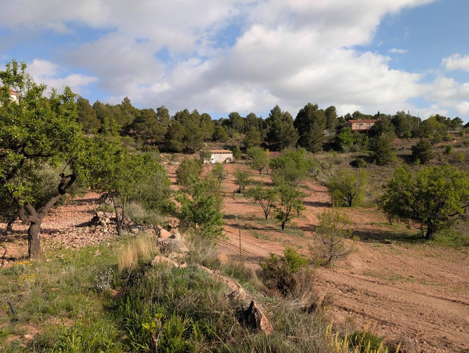 1 soveværelse Finca/Landehus til salg i Totana - € 55.000 (Ref: 8048515)