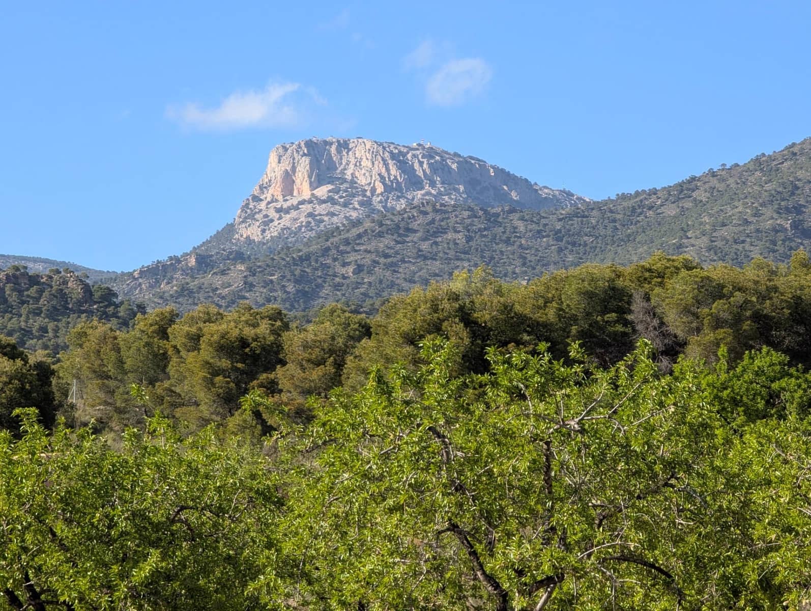 1 soveværelse Finca/Landehus til salg i Totana - € 55.000 (Ref: 8048515)