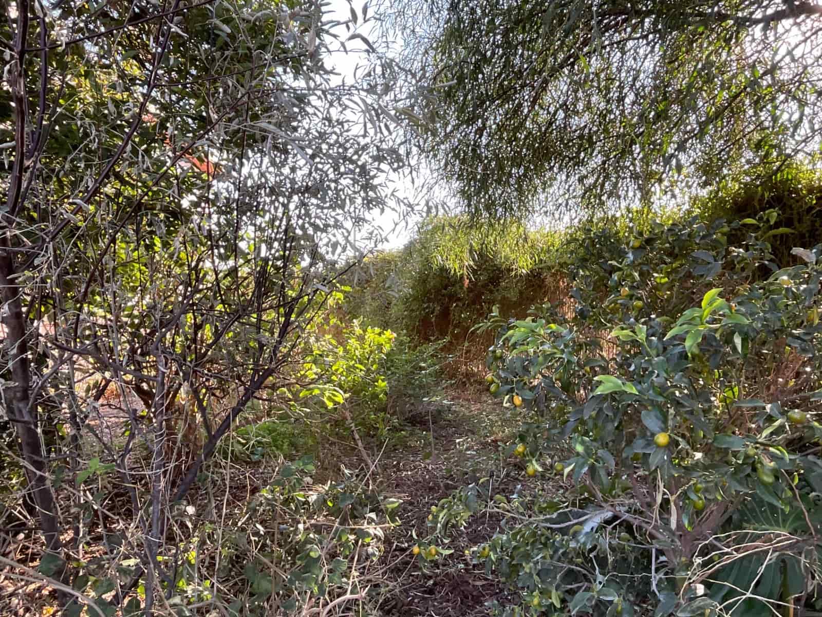 4 slaapkamer Finca/Landhuis te koop in Mazarron met zwembad garage - € 267.000 (Ref: 8053230)