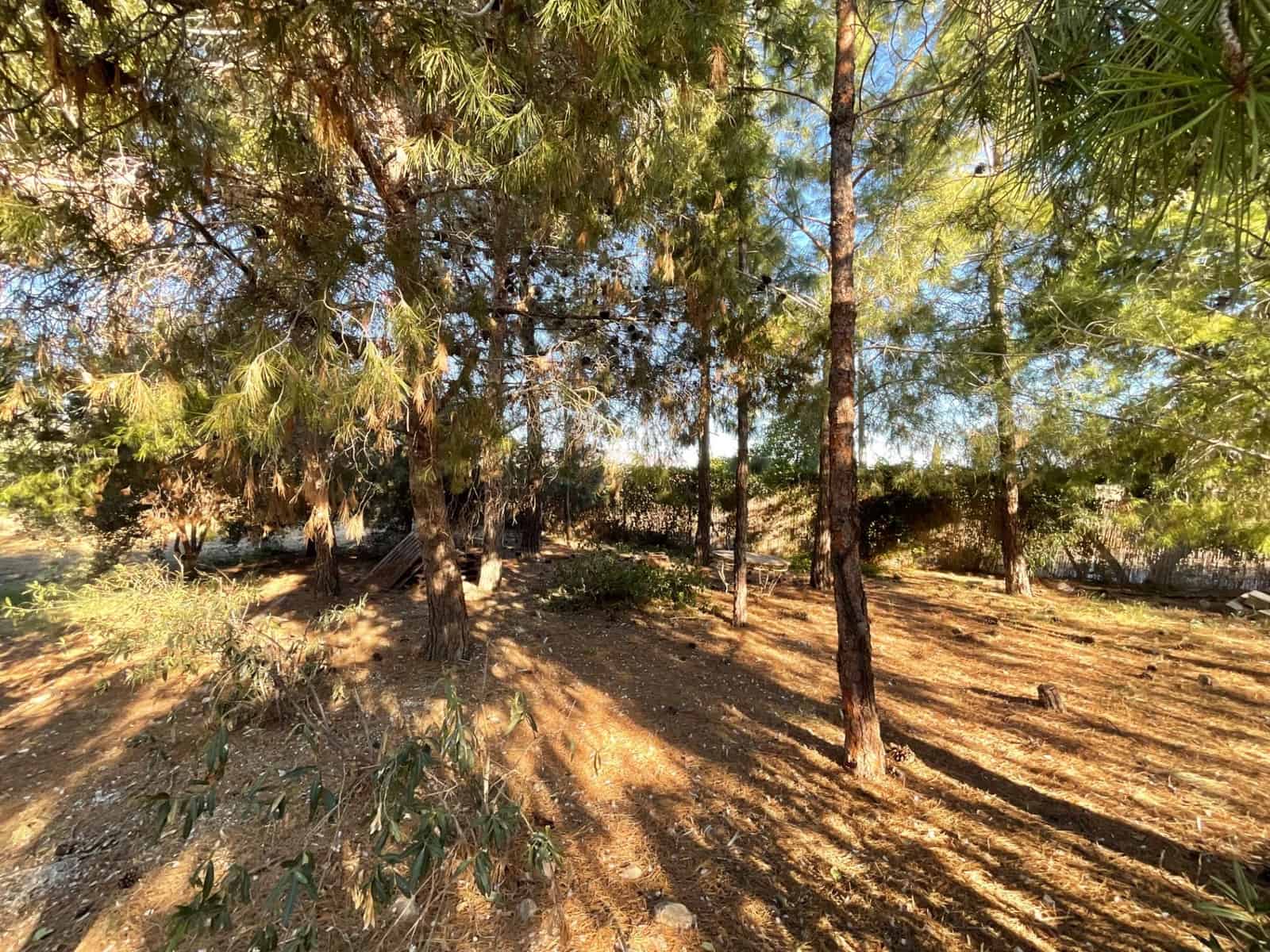 4 slaapkamer Finca/Landhuis te koop in Mazarron met zwembad garage - € 267.000 (Ref: 8053230)