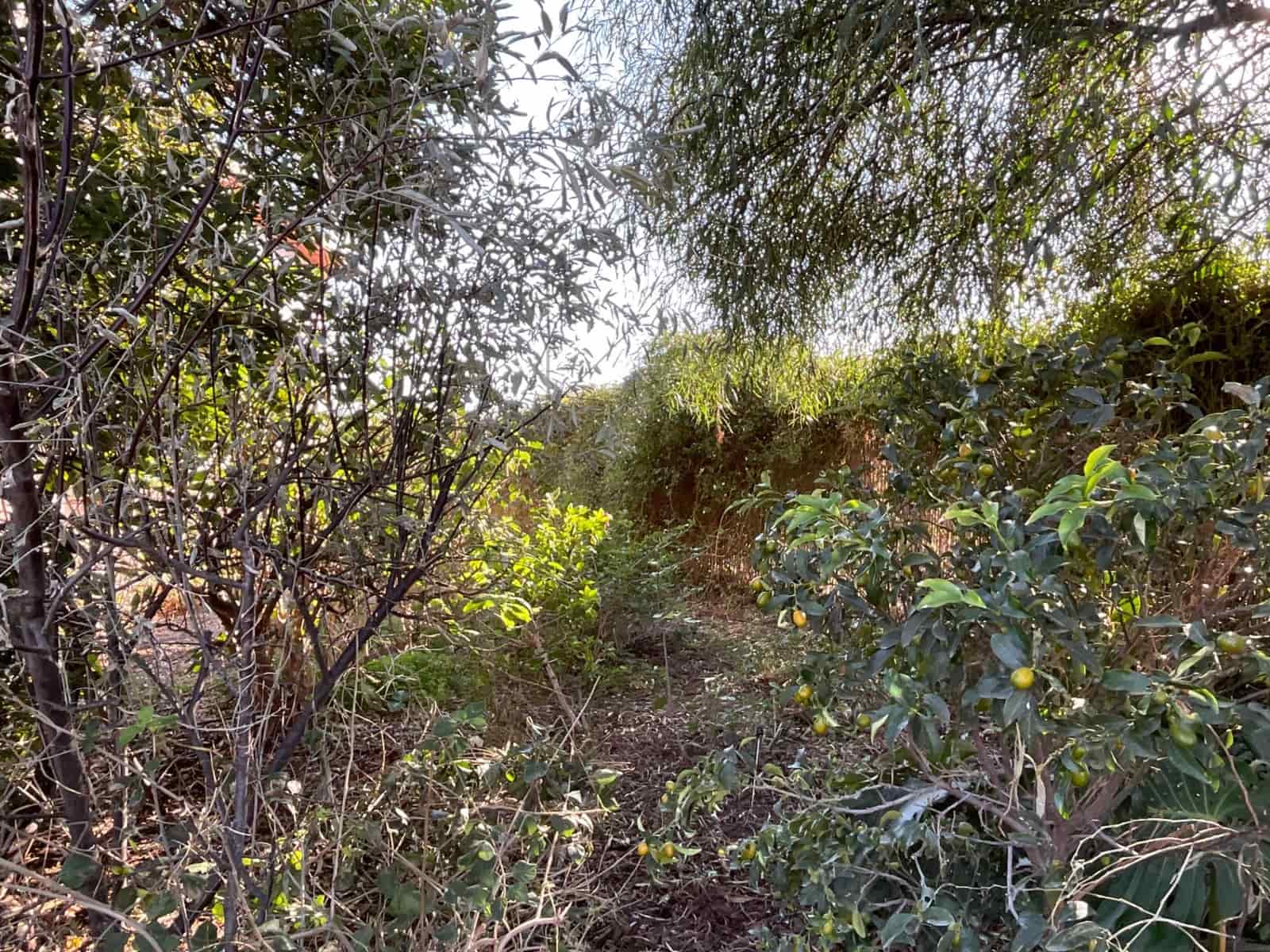 4 chambre Finca/Maison de Campagne à vendre à Mazarron avec piscine garage - 235 000 € (Ref: 8053230)