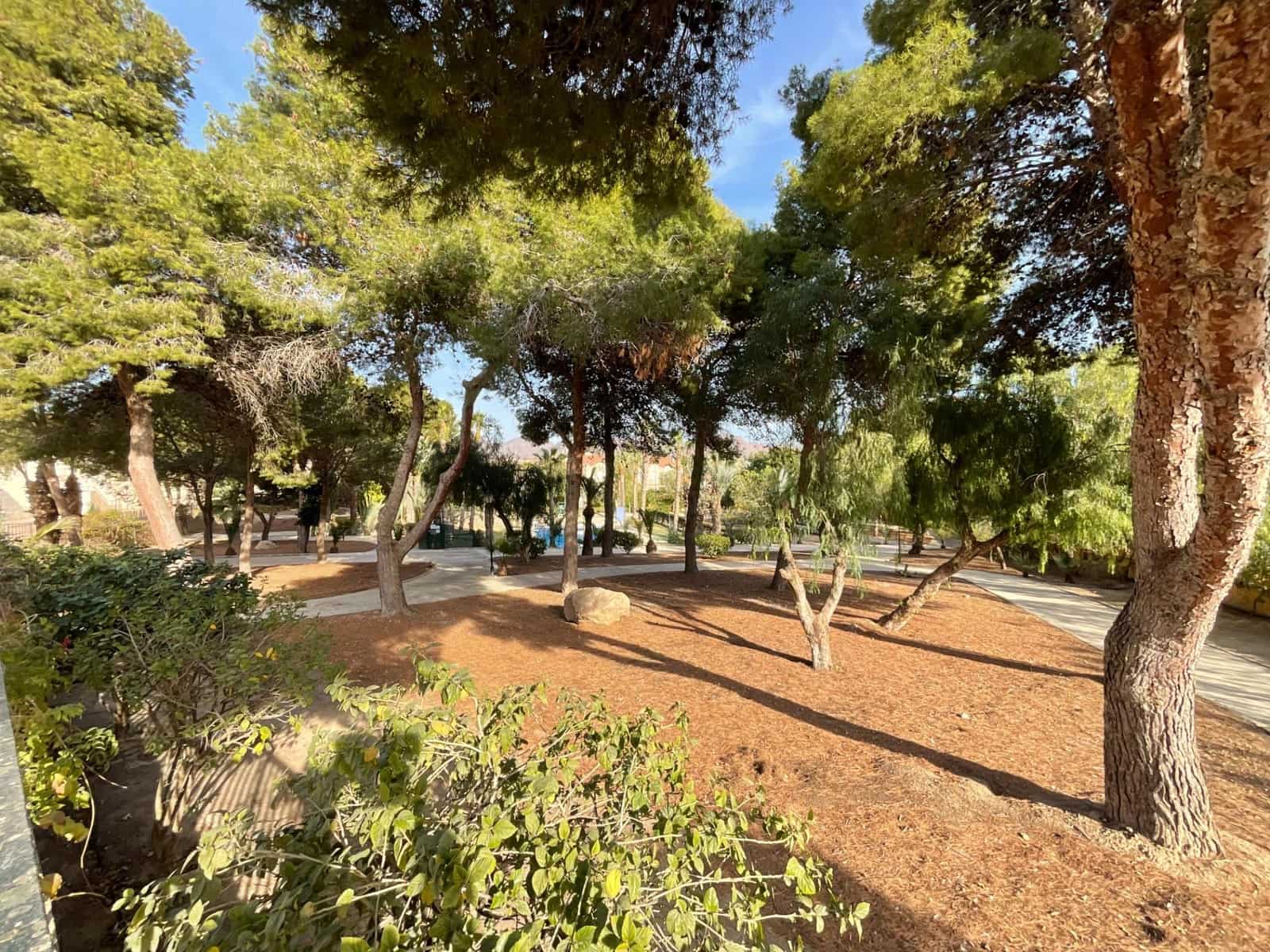 5 sypialnia Apartament na sprzedaż w Alamillo z basenem - 284 900 € (Ref: 8085233)