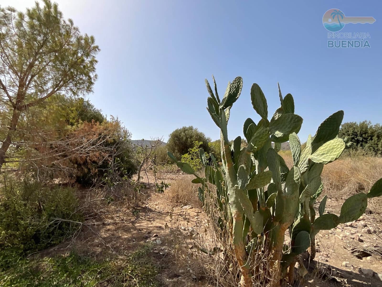 2 bedroom Finca/Country House for sale in Totana with pool garage - € 78,000 (Ref: 8437218)