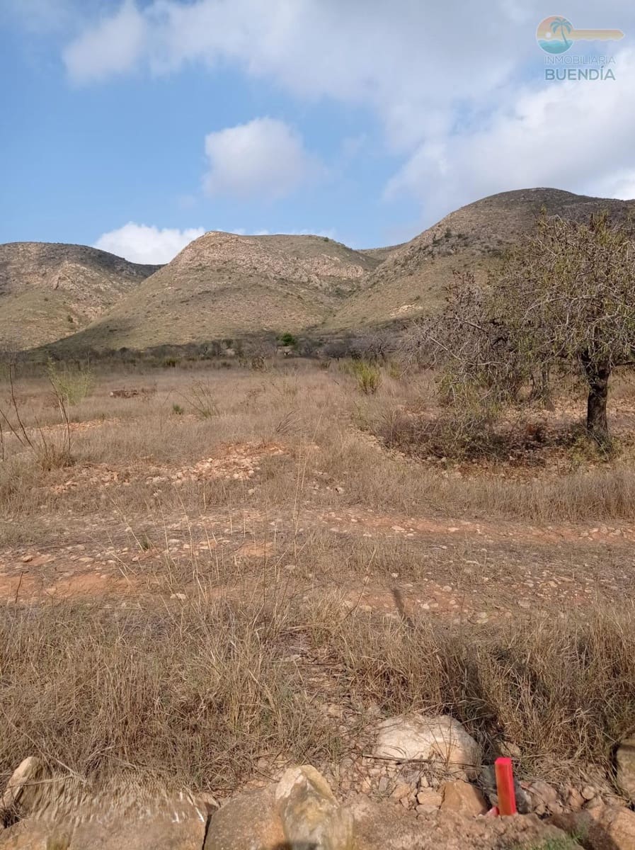 Undeveloped Land for sale in Perin - € 14,800 (Ref: 8440592)