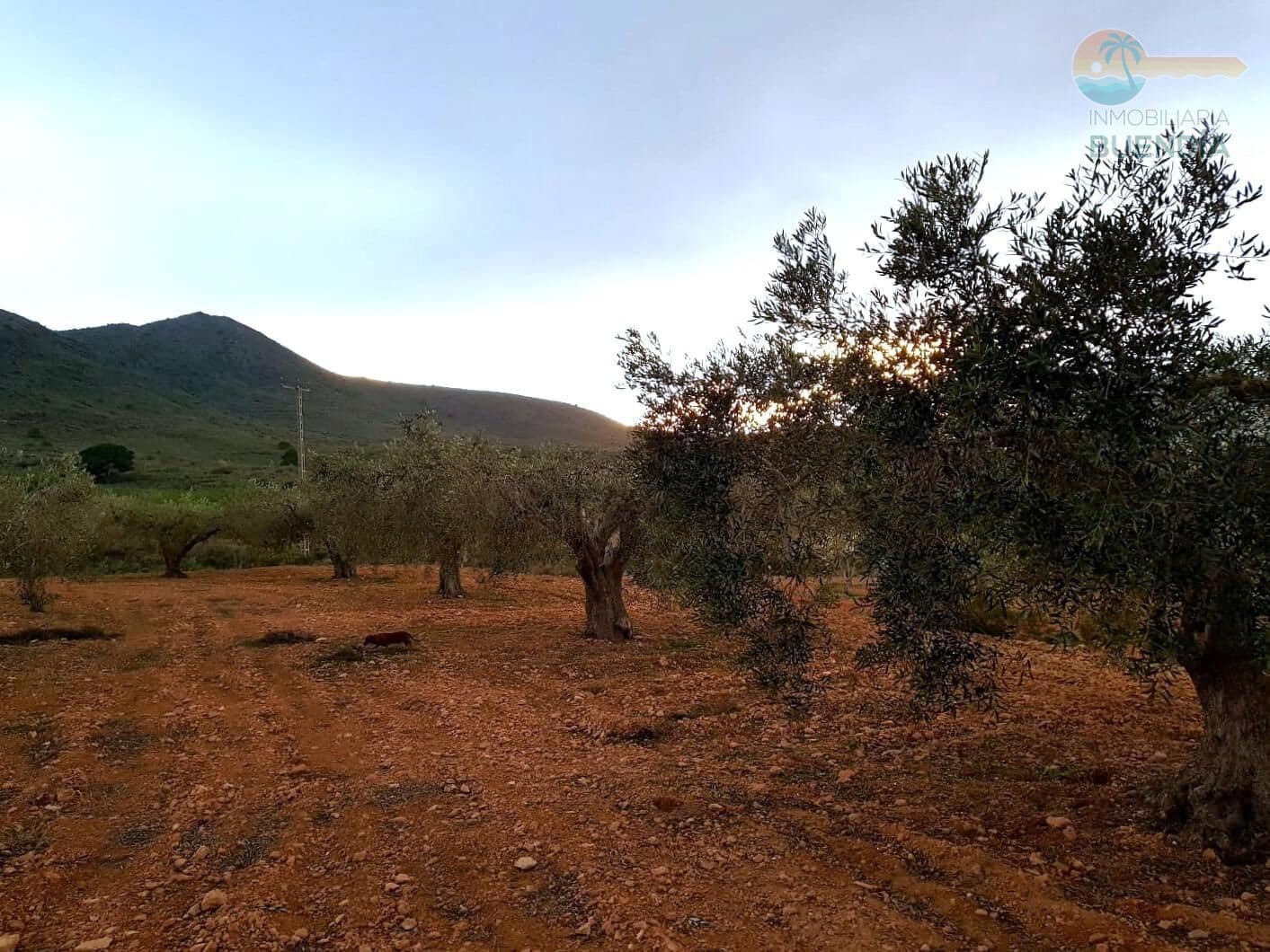 3 sypialnia Finka/Dom wiejski na sprzedaż w Las Palas - 199 900 € (Ref: 8937039)