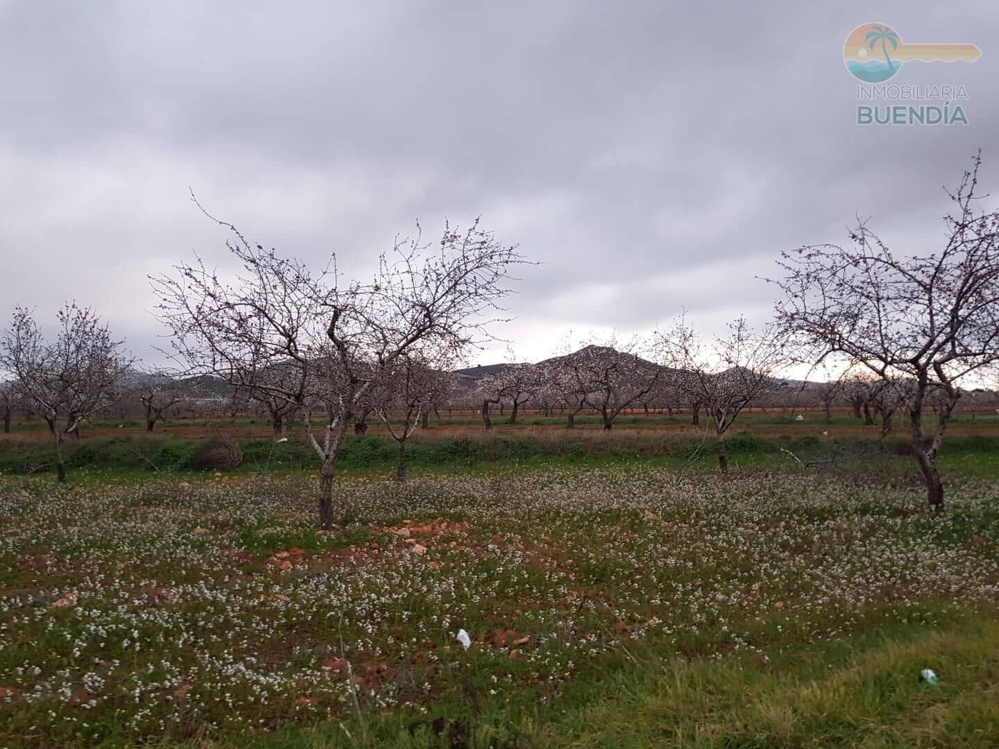 3 sypialnia Finka/Dom wiejski na sprzedaż w Las Palas - 199 900 € (Ref: 8937039)