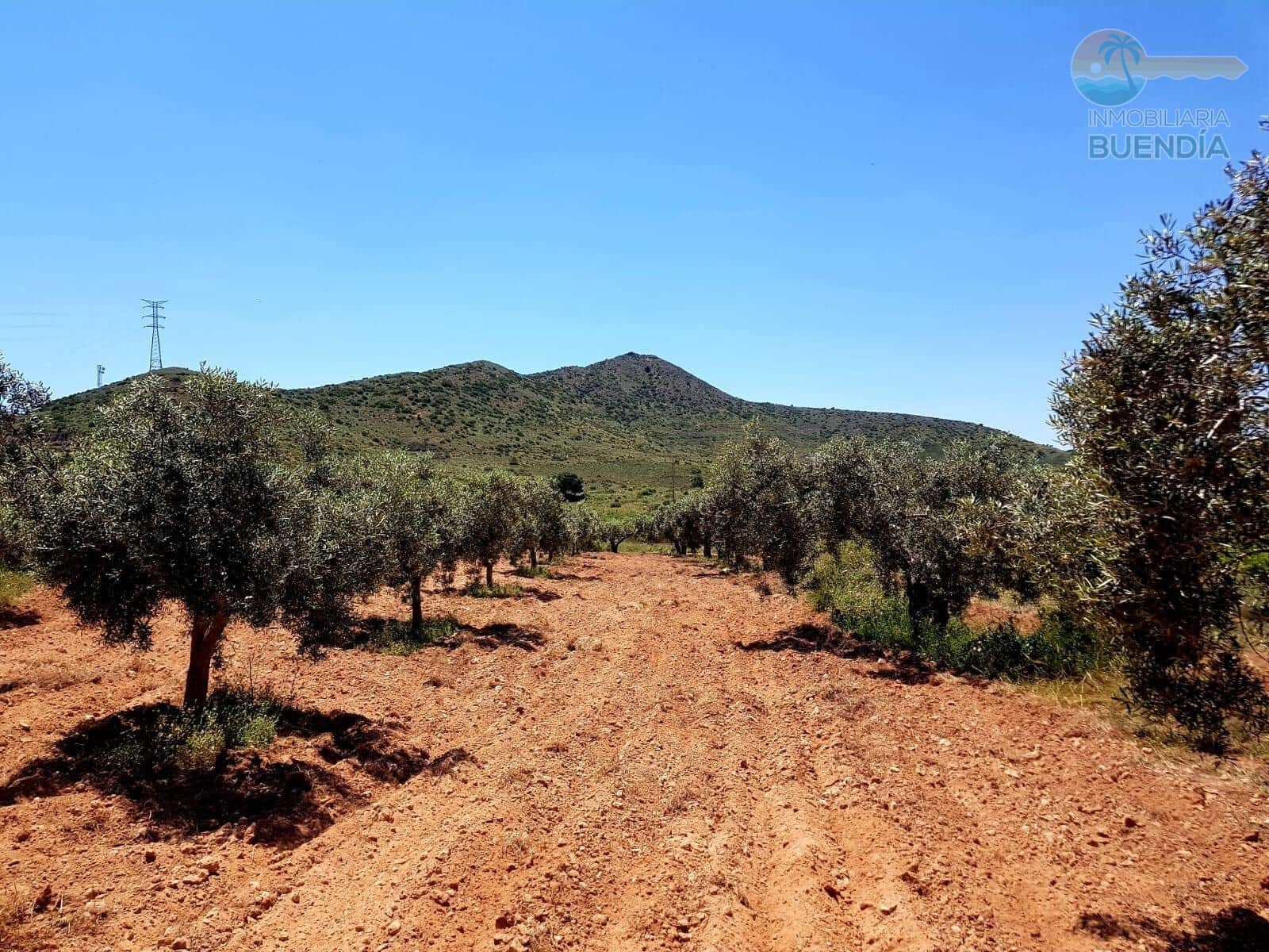 3 sypialnia Finka/Dom wiejski na sprzedaż w Las Palas - 199 900 € (Ref: 8937039)