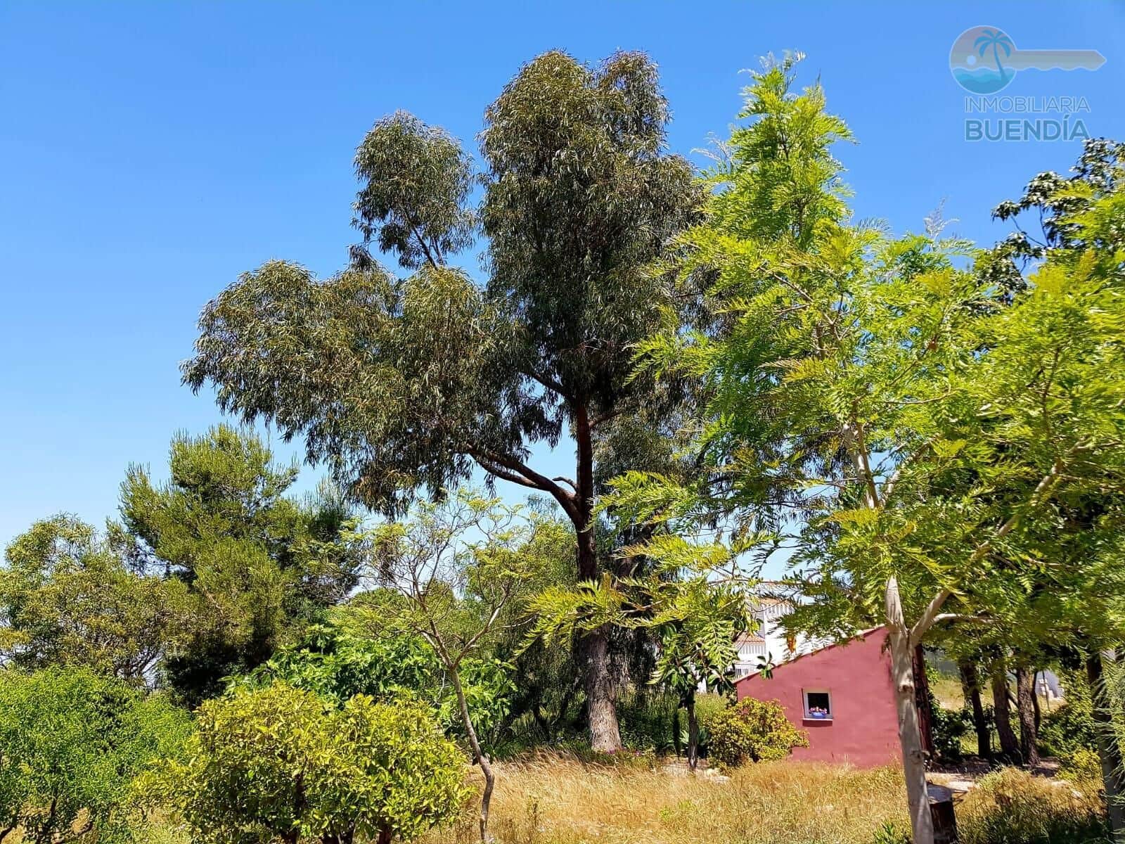 3 sypialnia Finka/Dom wiejski na sprzedaż w Las Palas - 199 900 € (Ref: 8937039)