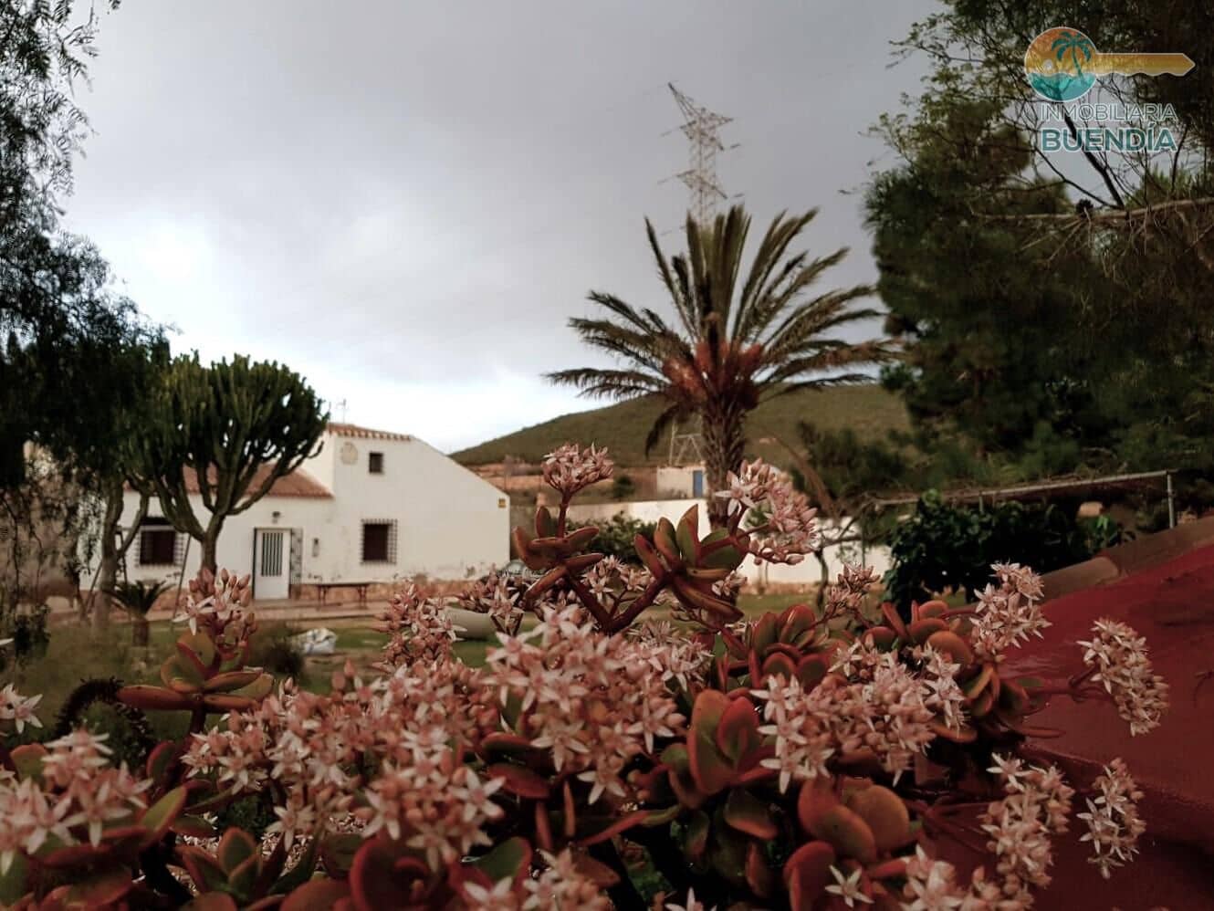 3 slaapkamer Finca/Landhuis te koop in Las Palas - € 199.900 (Ref: 8937039)