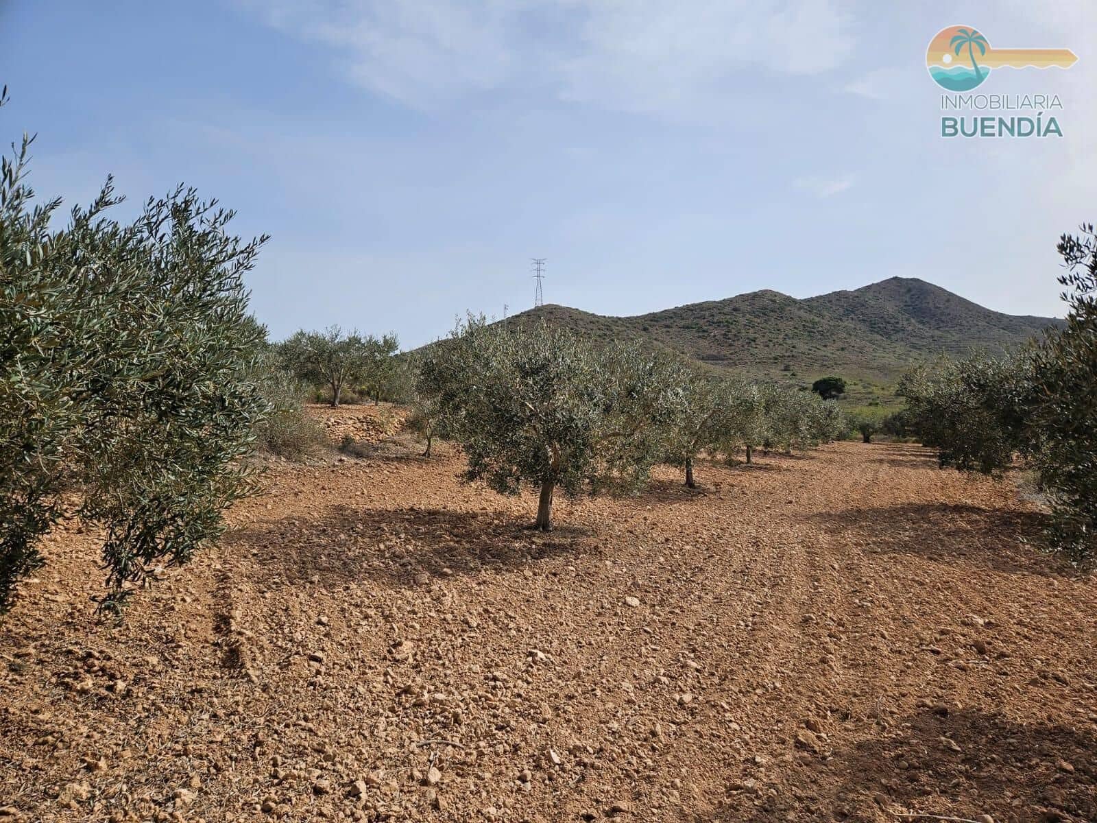 3 slaapkamer Finca/Landhuis te koop in Las Palas - € 199.900 (Ref: 8937039)