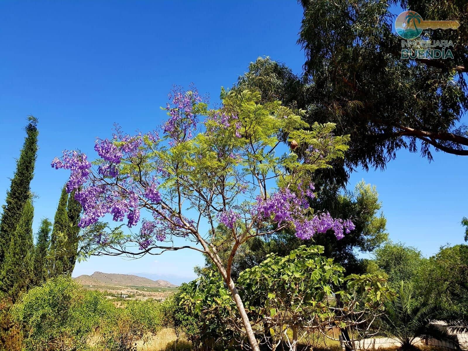 3 slaapkamer Finca/Landhuis te koop in Las Palas - € 199.900 (Ref: 8937039)