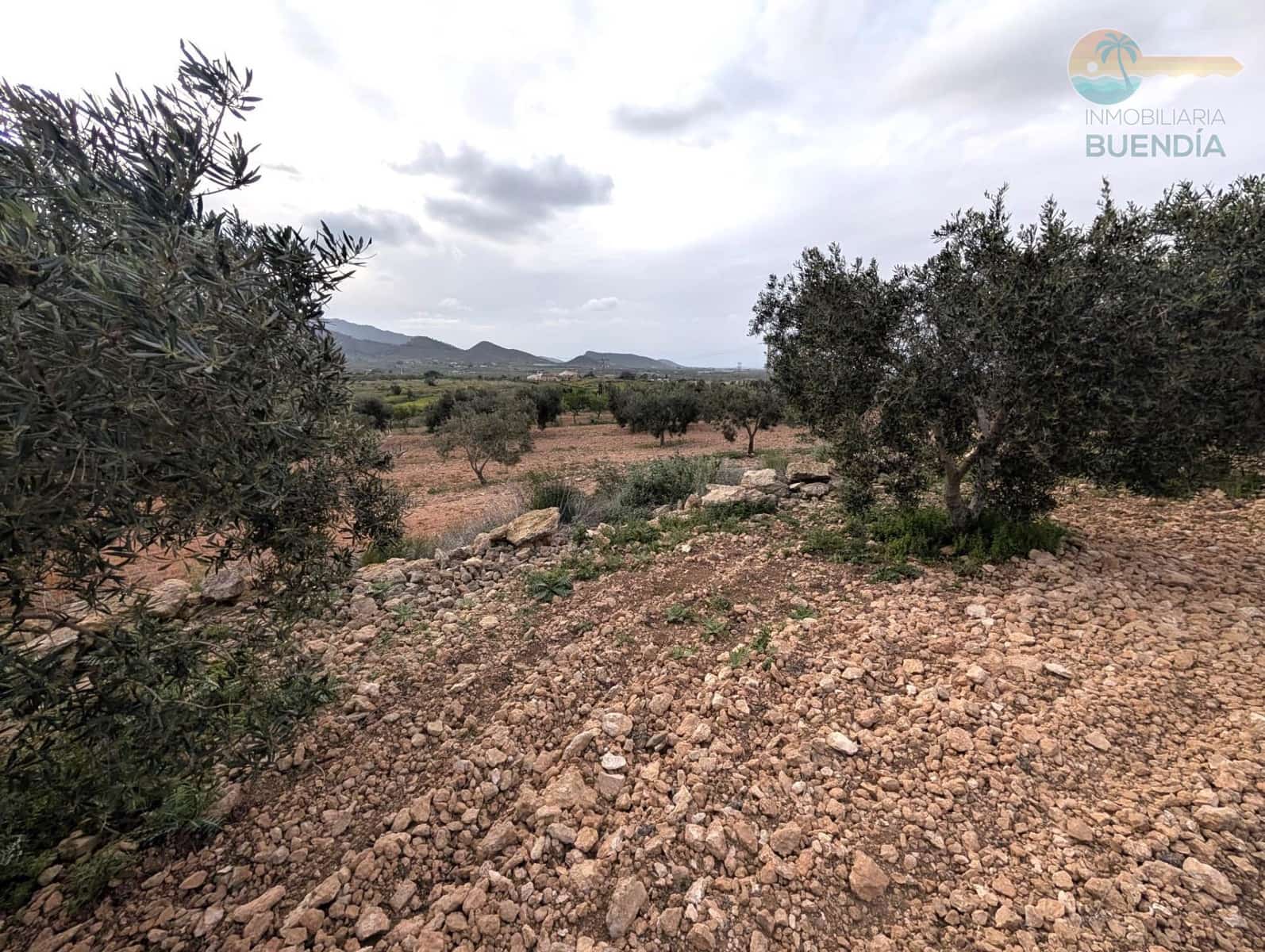 3 slaapkamer Finca/Landhuis te koop in Las Palas - € 199.900 (Ref: 8937039)