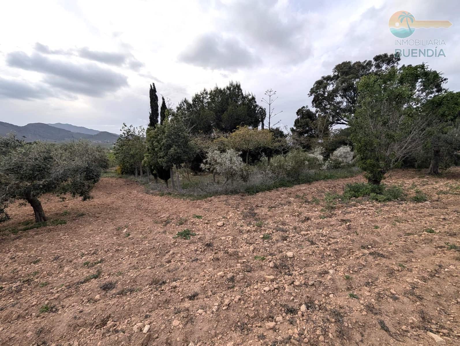 3 slaapkamer Finca/Landhuis te koop in Las Palas - € 199.900 (Ref: 8937039)