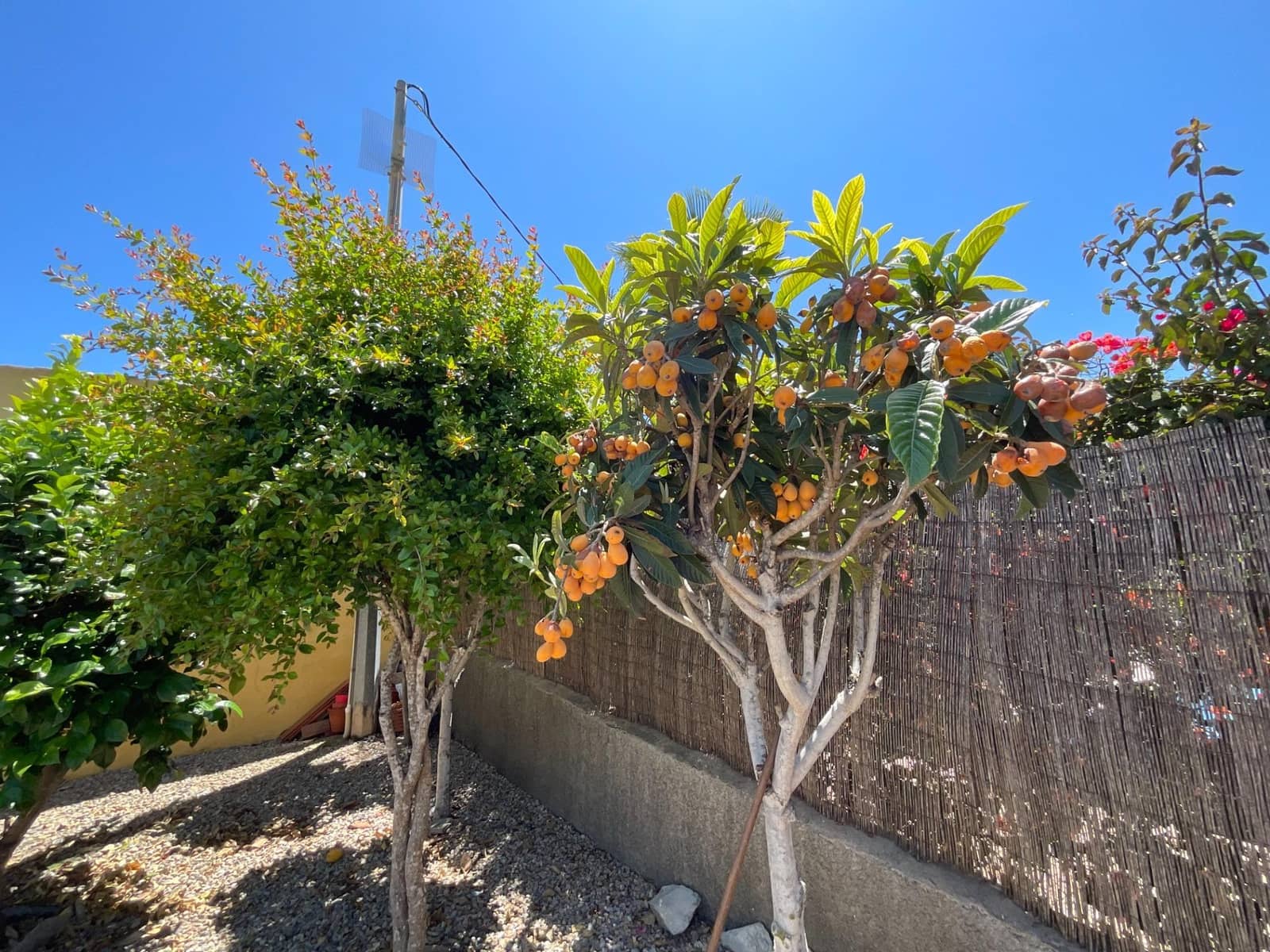 3 soverom Finca/Herregård til salgs i Cartagena med svømmebasseng - € 249 000 (Ref: 9003111)