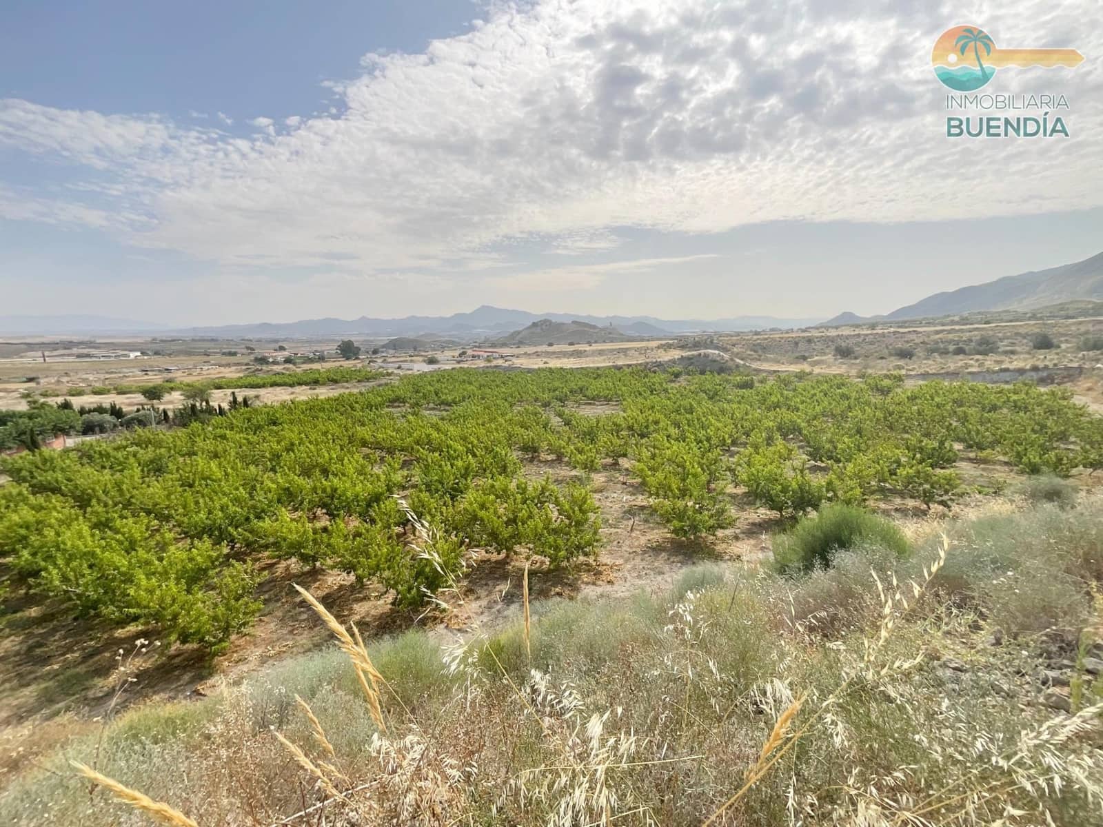 Teren niezagospodarowany na sprzedaż w Leiva - 195 000 € (Ref: 9073498)